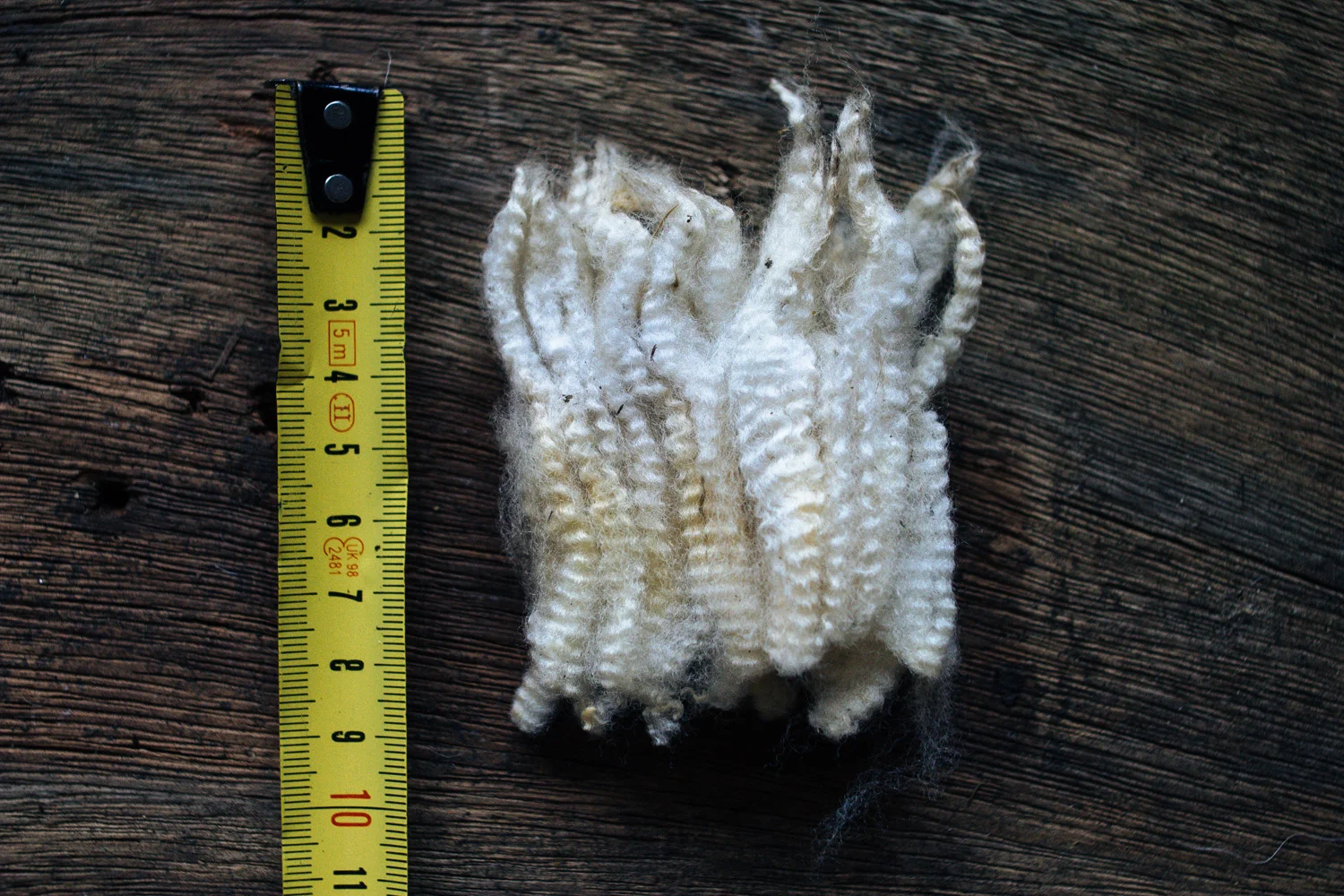 Madeixas de lã Merina Branca; / Wool locks from the white merino breed (Merina Branca);