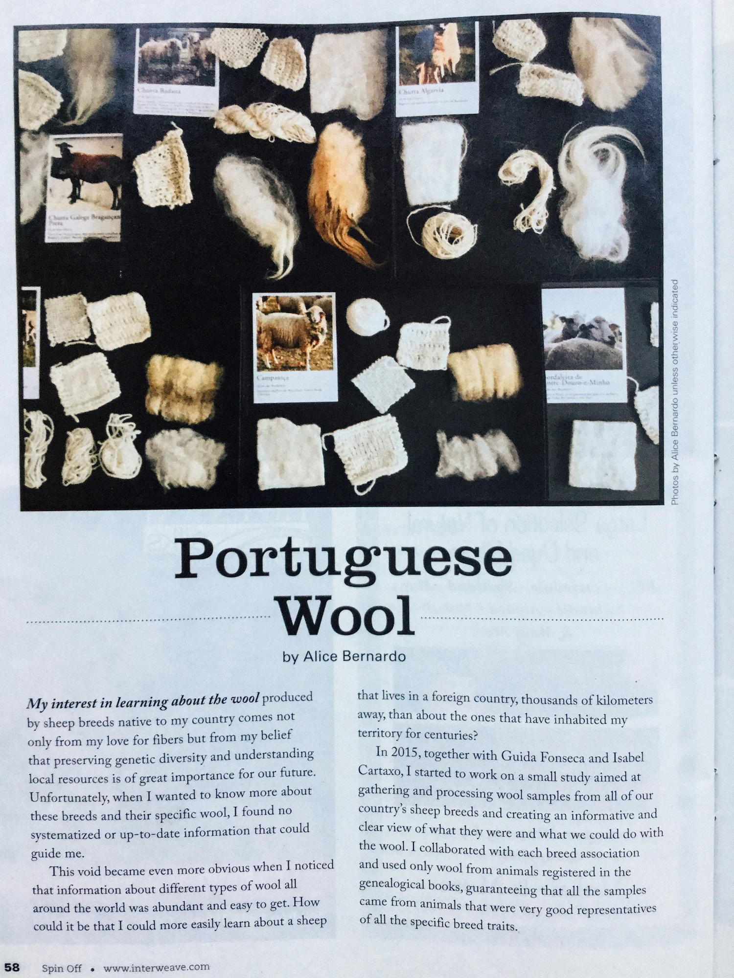 portuguese-wool-3.jpg