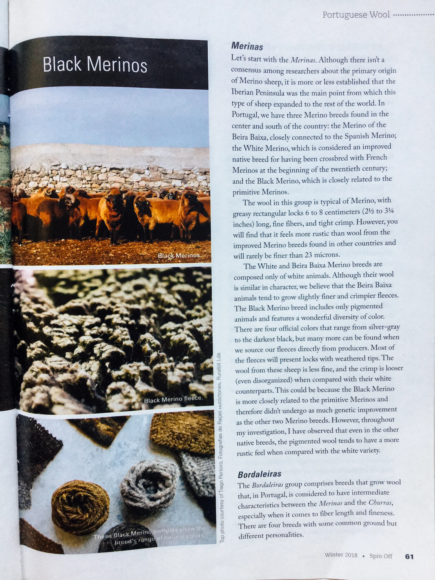 portuguese-wool-6.jpg