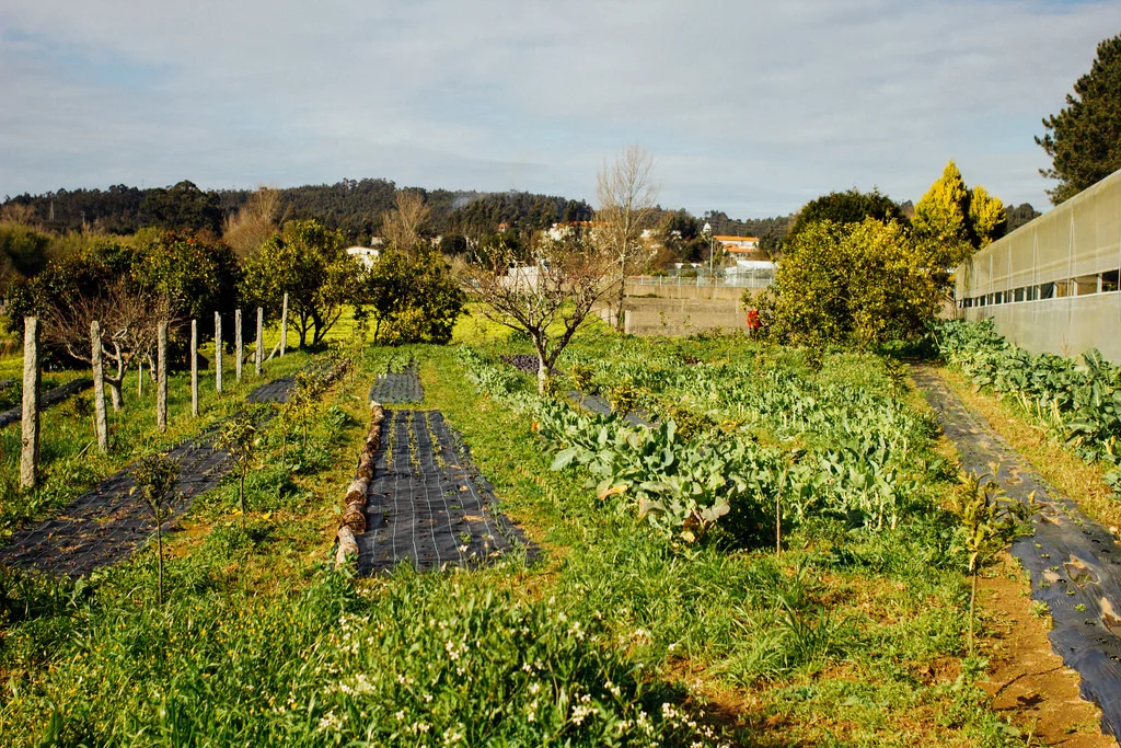 biohabitus-1.jpg