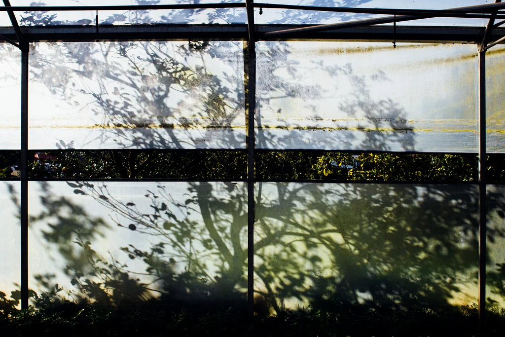 biohabitus-3.jpg