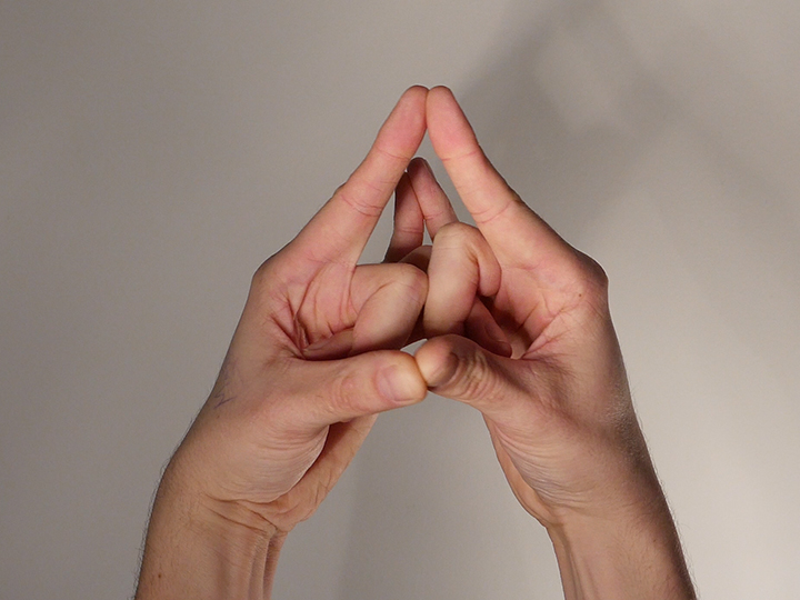 hand-mudra-sha.jpg