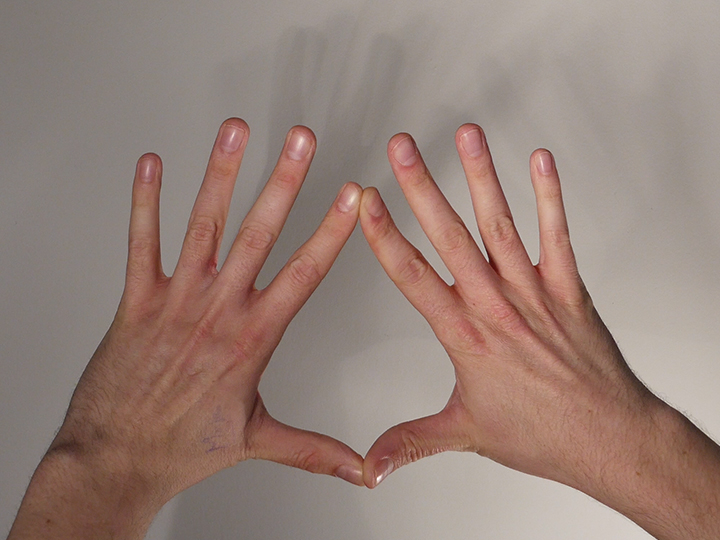 hand-mudra-zai.jpg