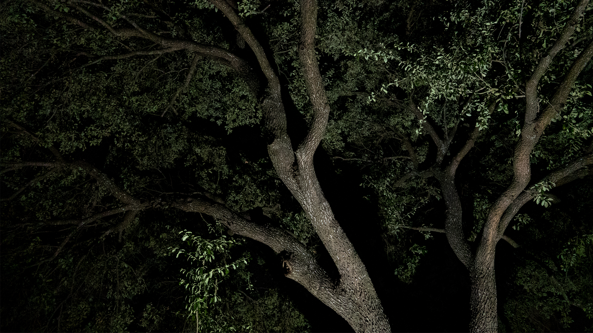 Making Dark Sounds Together