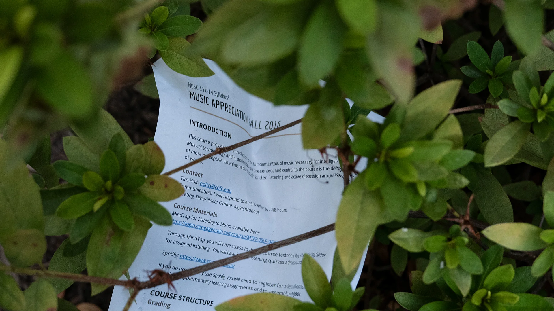 The Utopian Syllabus