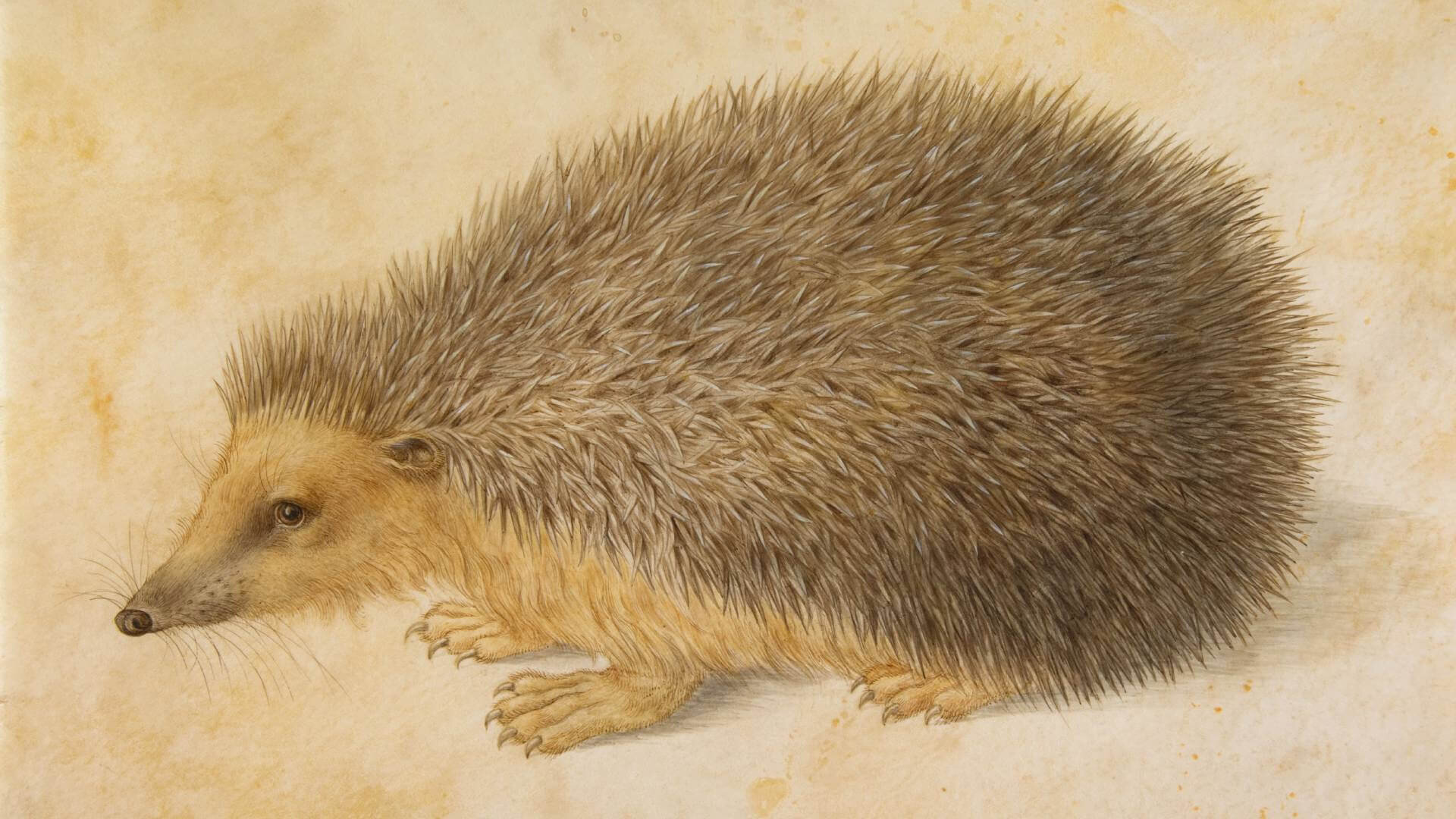 Poetics of the Fragment Conference