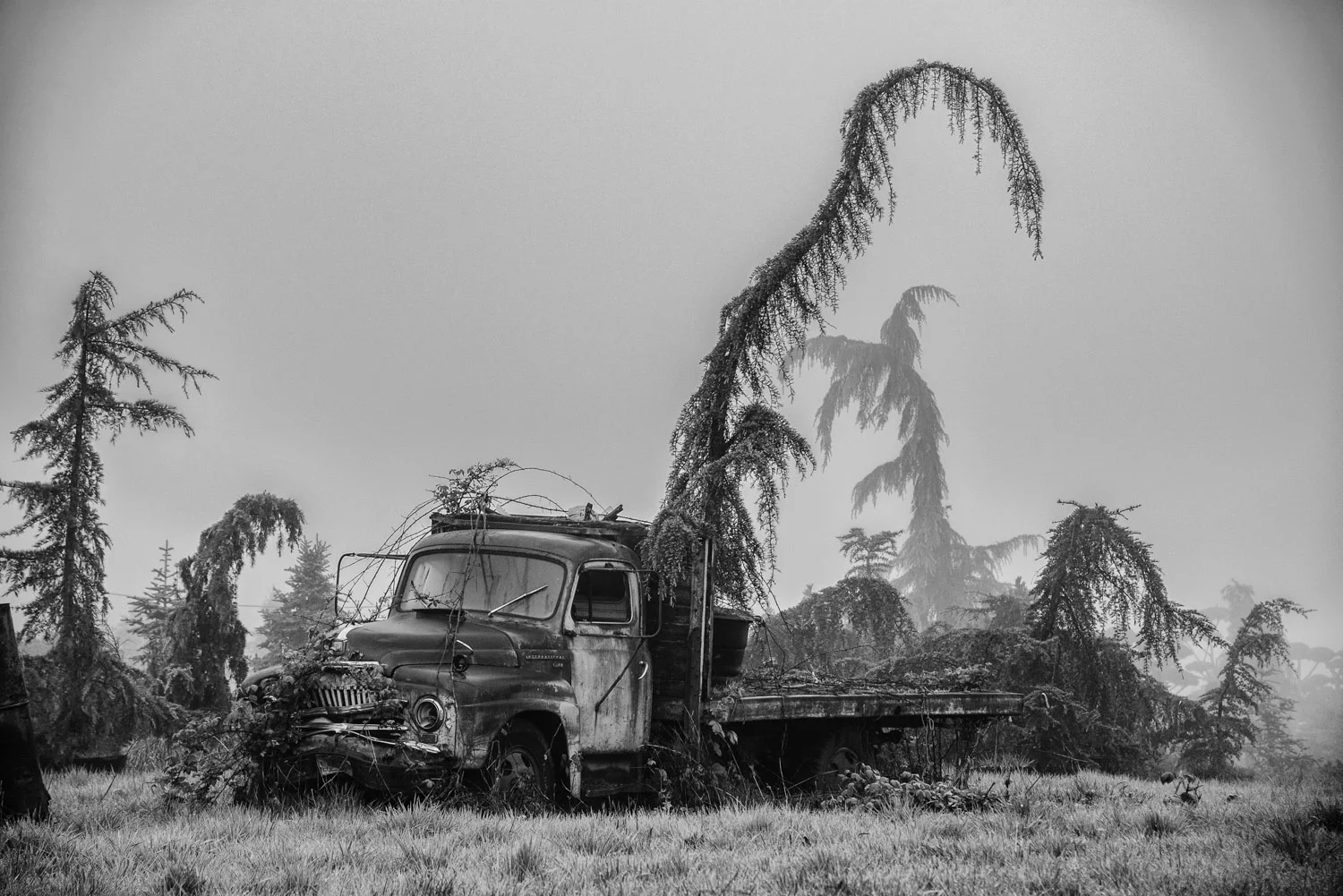 Shadow_Quality_Portfolio_04-15-13_0007800.jpg