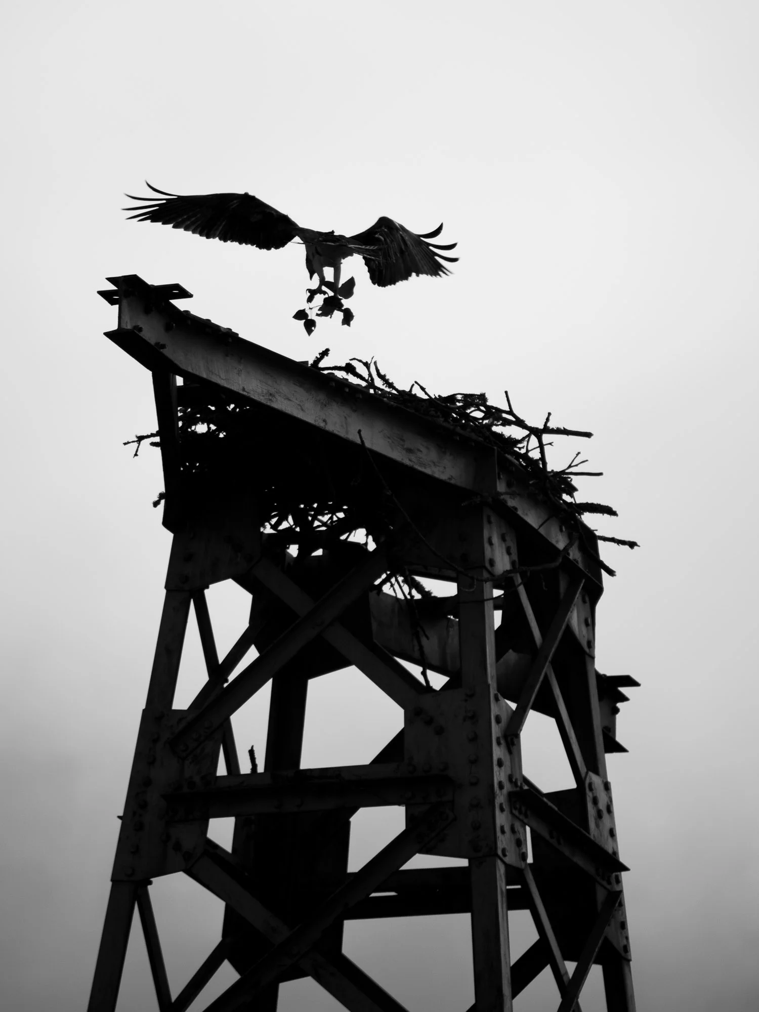 Shadow_Quality_Portfolio_05-30-14_0015583.jpg