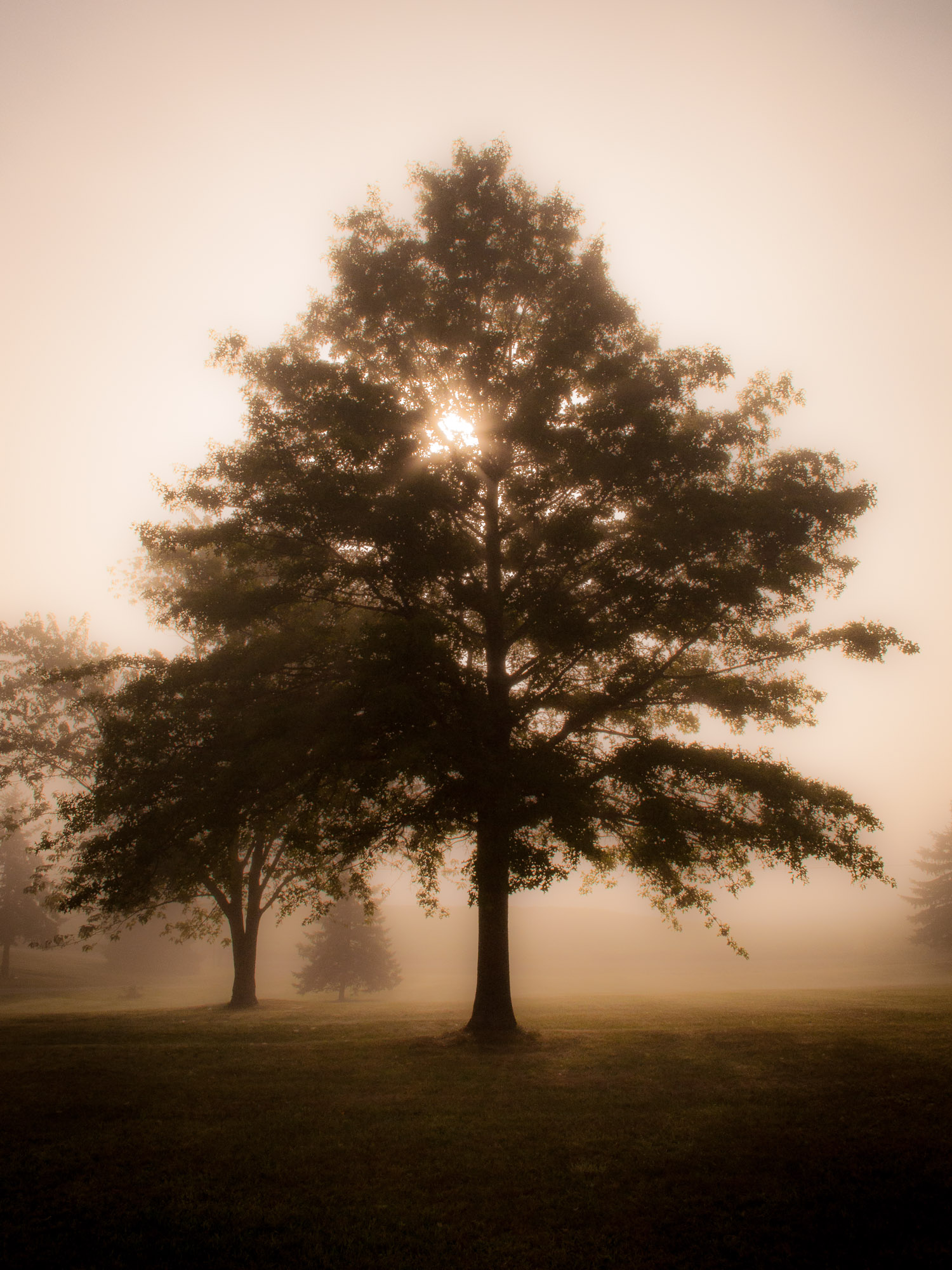 Shadow_Quality_Portfolio_08-20-11_DSC_0258.jpg