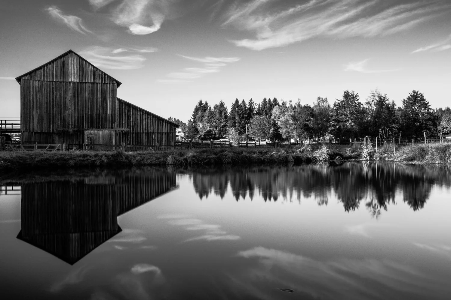 Shadow_Quality_Portfolio_10-16-13_0007060.jpg