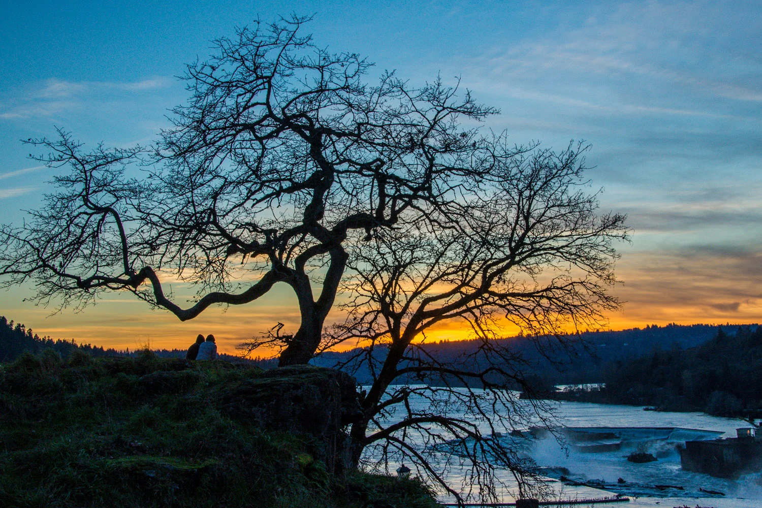 Shadow_Quality_Portfolio_11-22-13_0009450.jpg