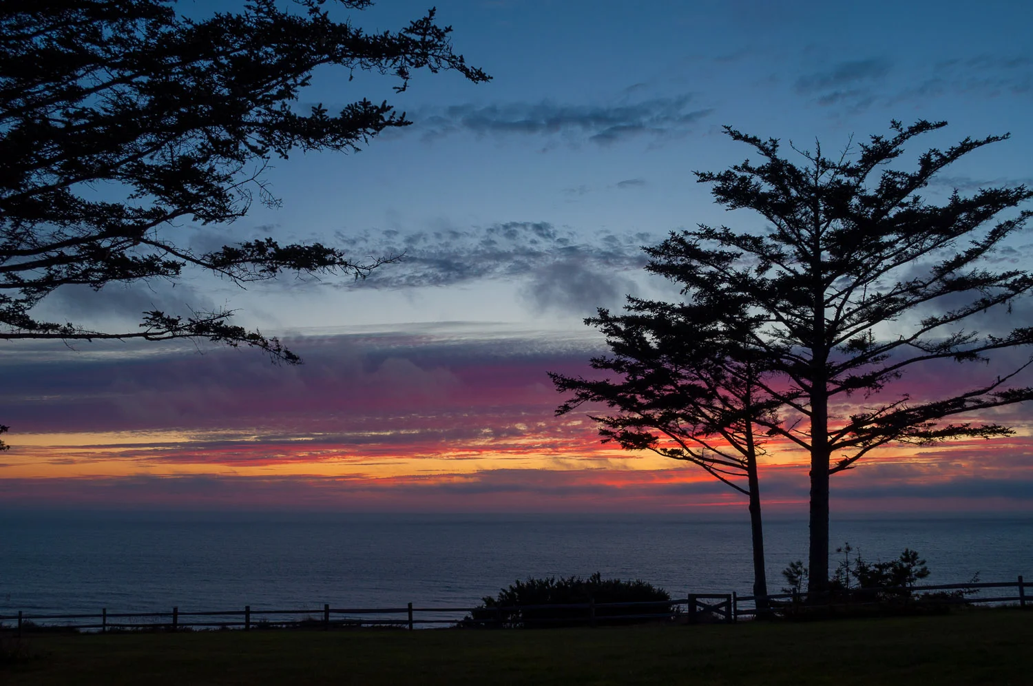 Shadow_Quality_Trees_08-20-12_DSC_0567.jpg