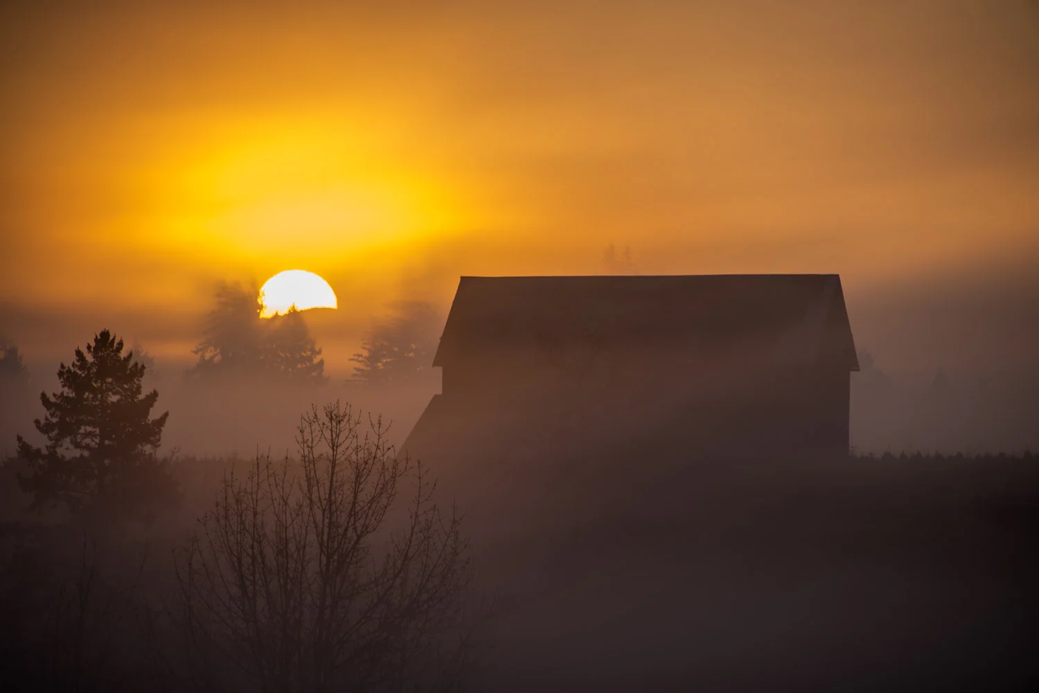 Shadow_Quality_Barns_04-22-13_0008447.jpg