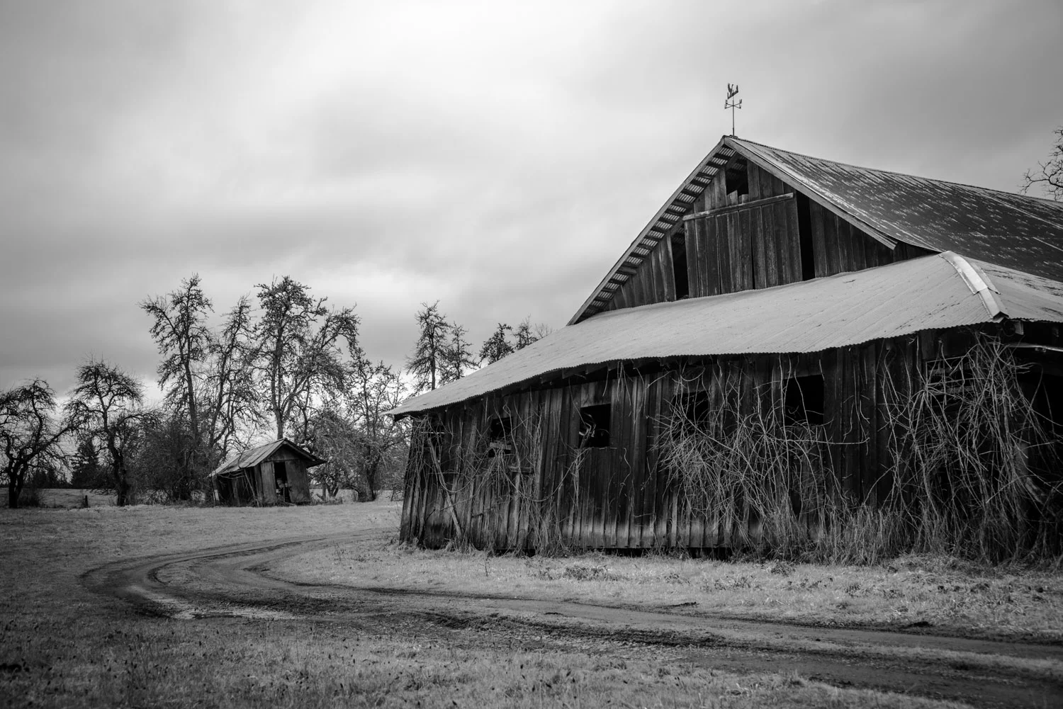 Shadow_Quality_Barns_01-22-14_0010753.jpg
