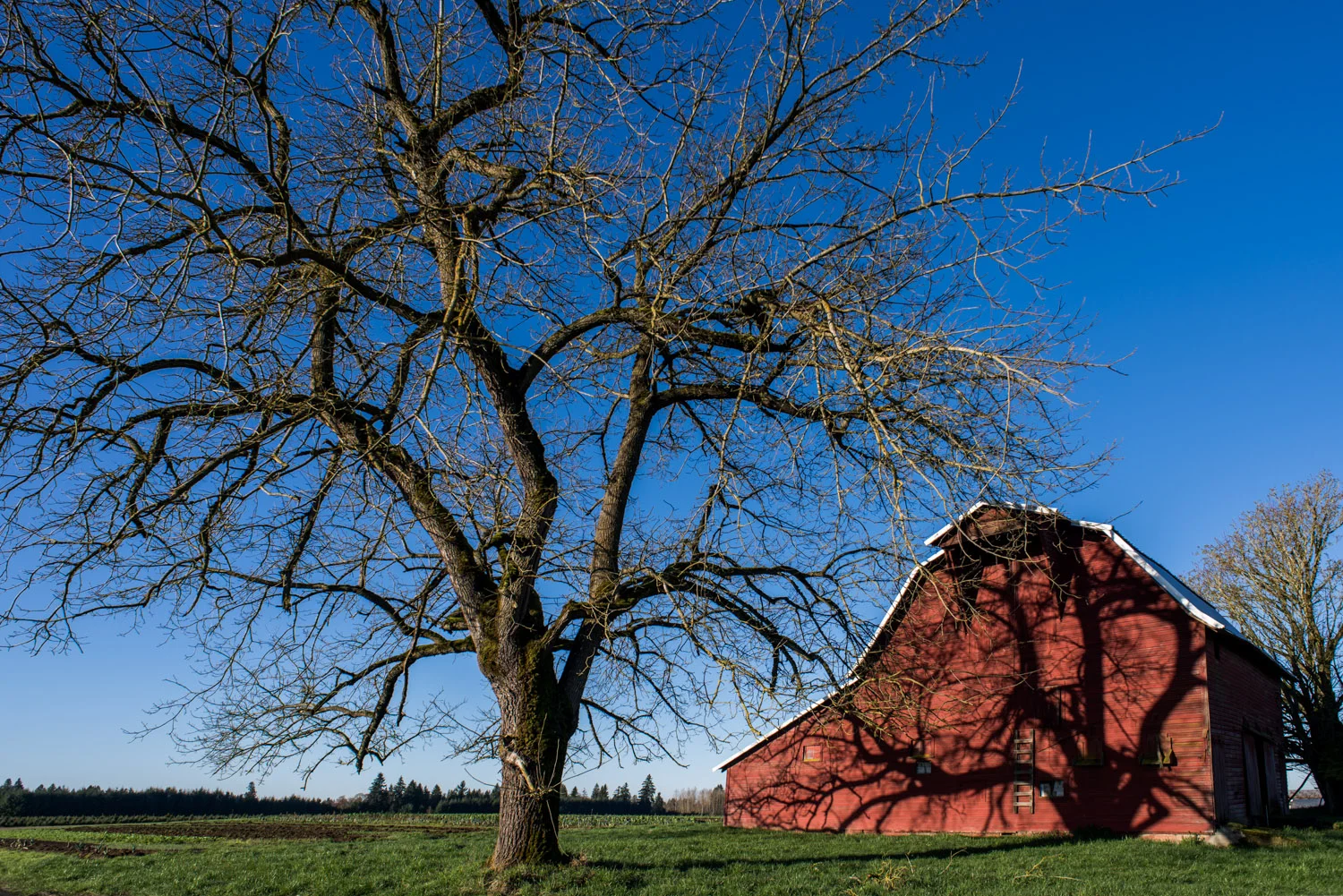 Shadow_Quality_Barns_03-12-14_0012400.jpg