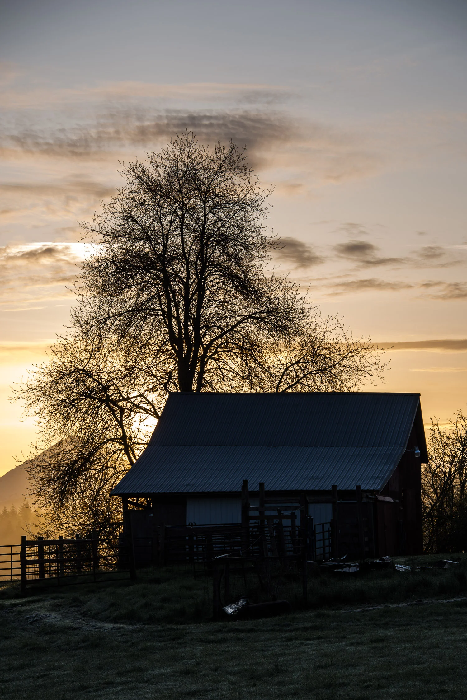 Shadow_Quality_Barns_04-12-13_0007507.jpg