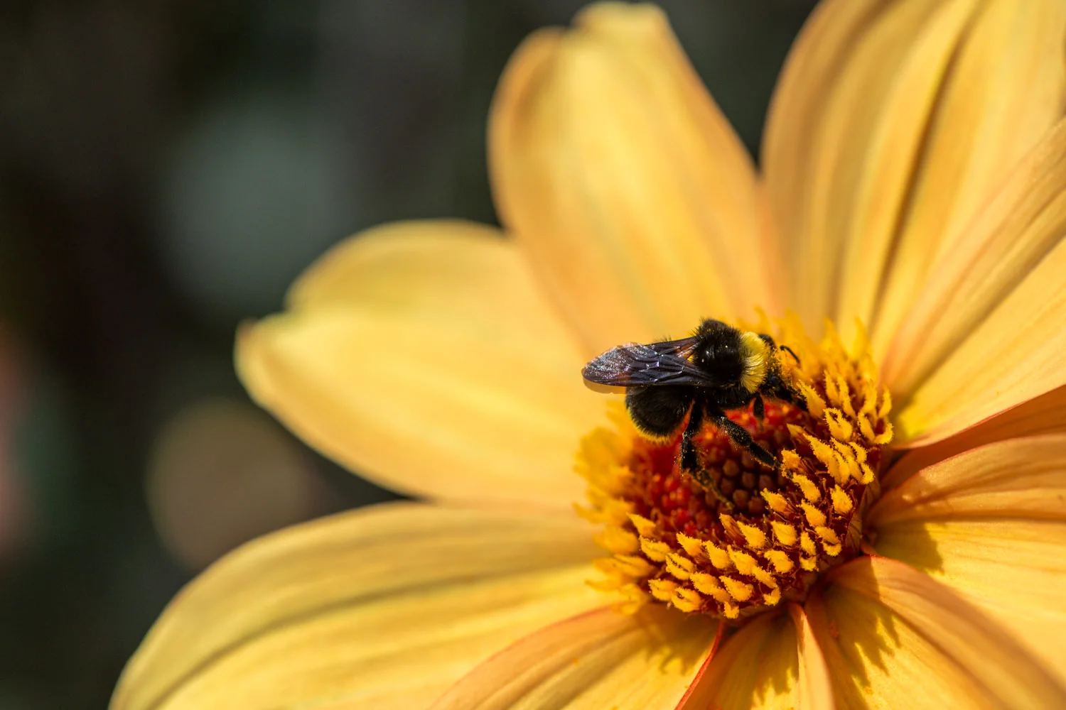 Shadow_Quality_Animals_08-27-13_0004650.jpg