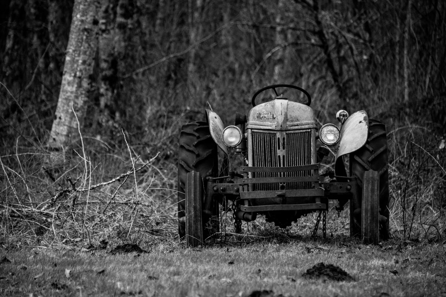 Shadow_Quality_Vehicles_01-22-14_0010775.jpg
