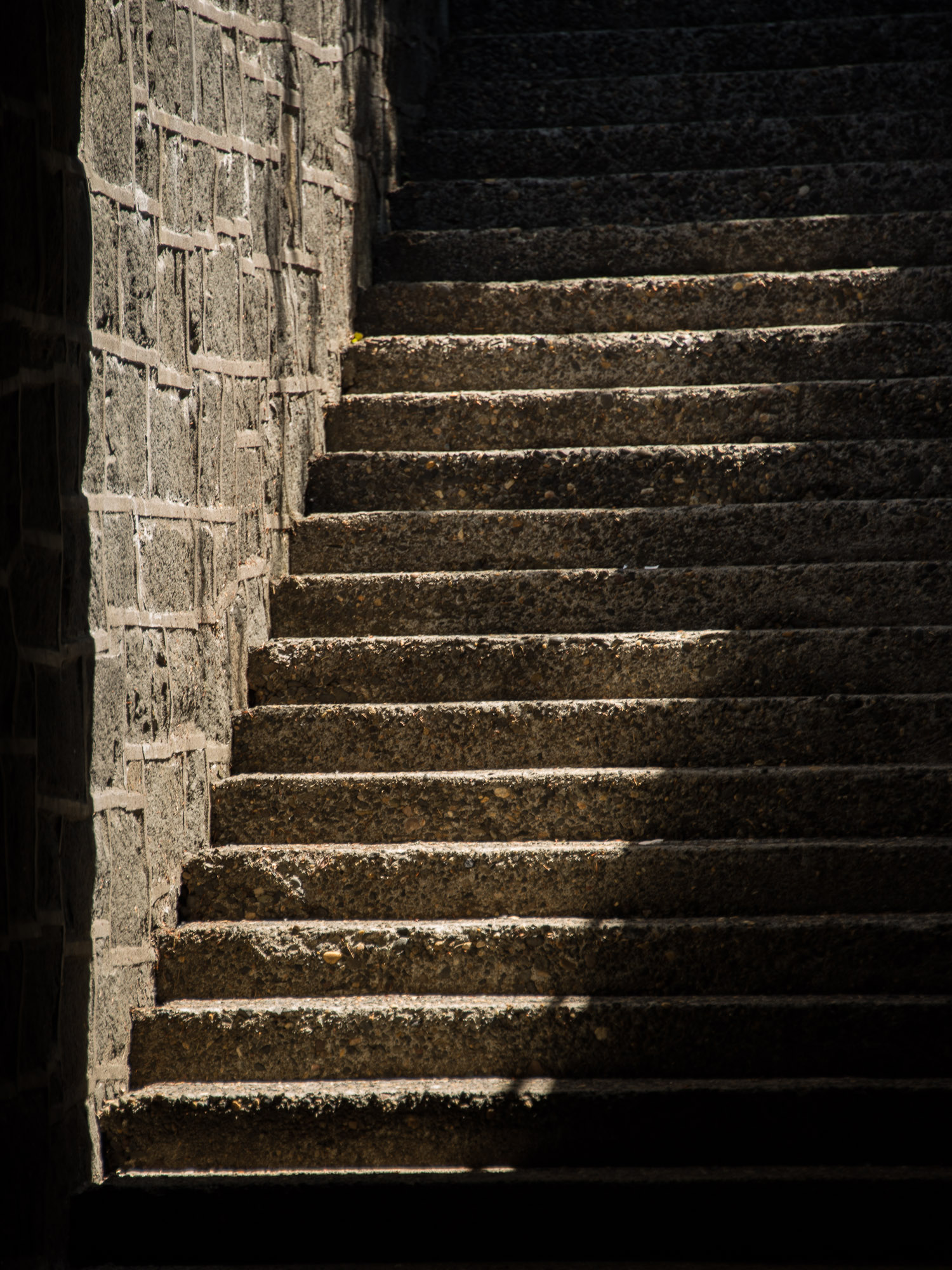 Shadow_Quality_Objects_05-21-14_0015060.jpg
