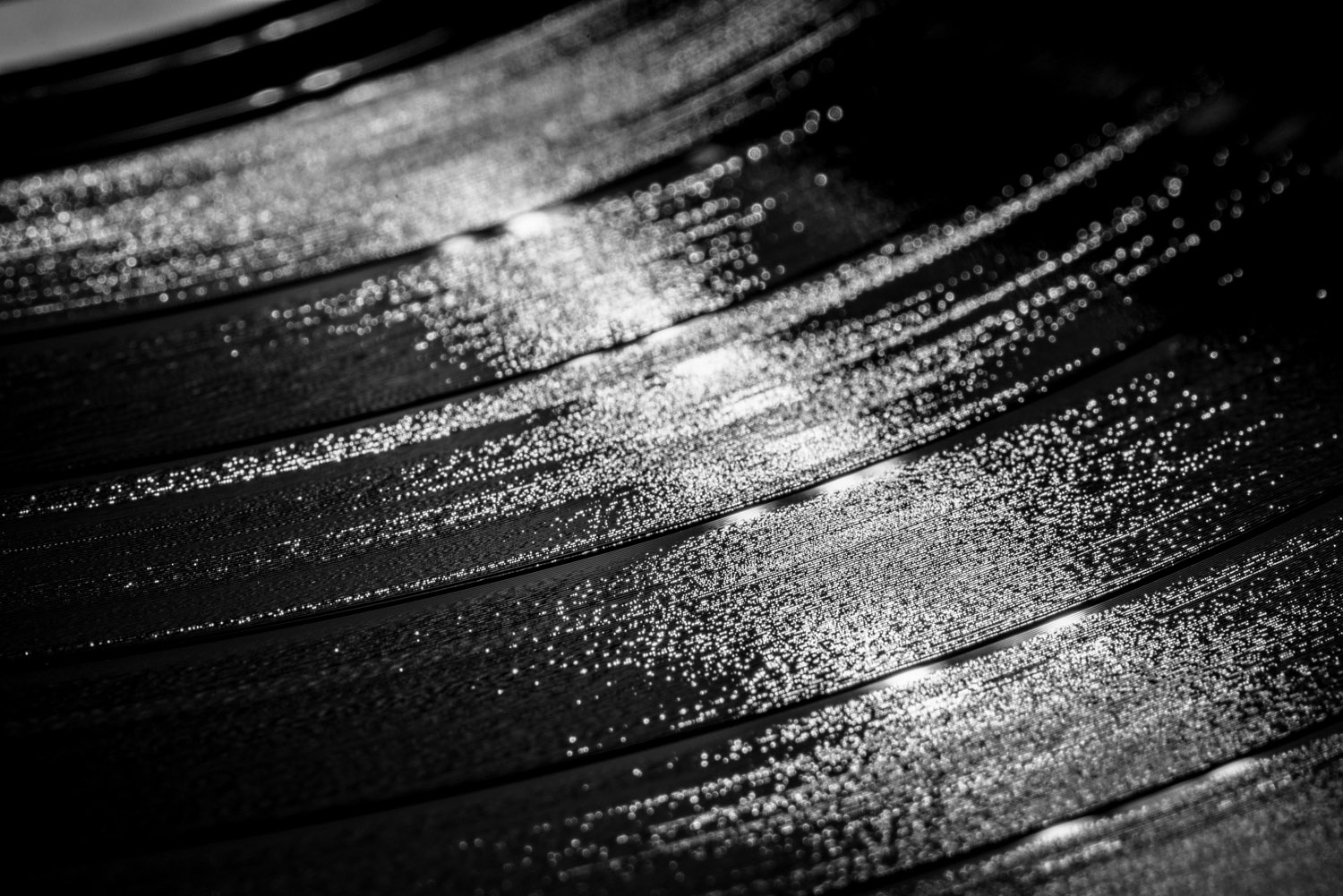 Shadow_Quality_Objects_01-28-14_0011018.jpg