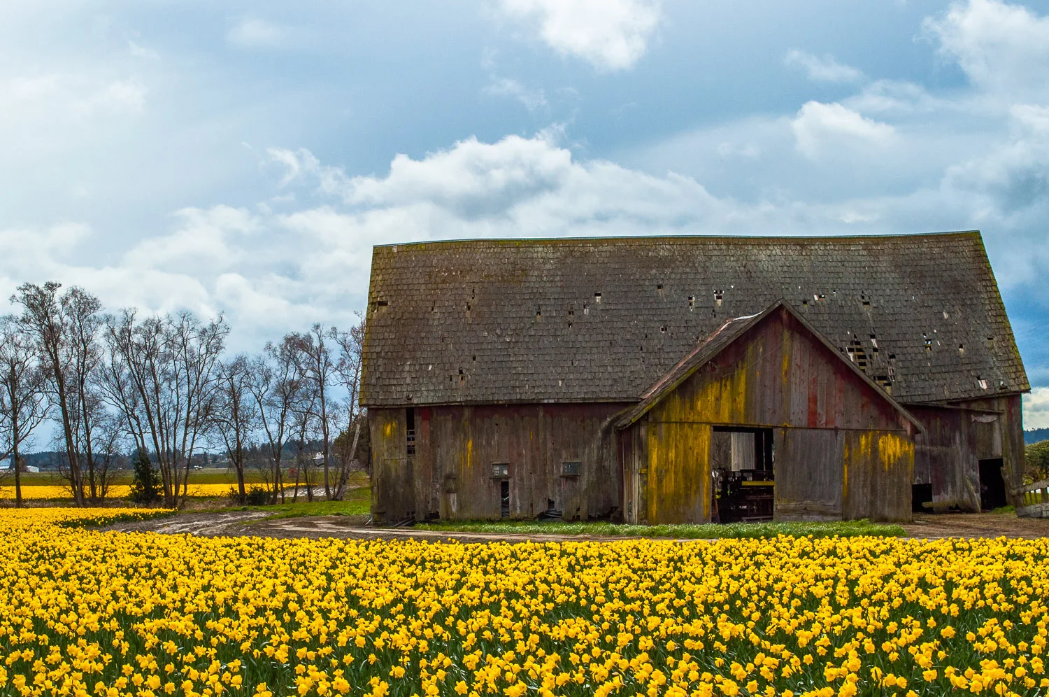 Shadow_Quality_Portfolio_03-28-12_DSC_0128.jpg