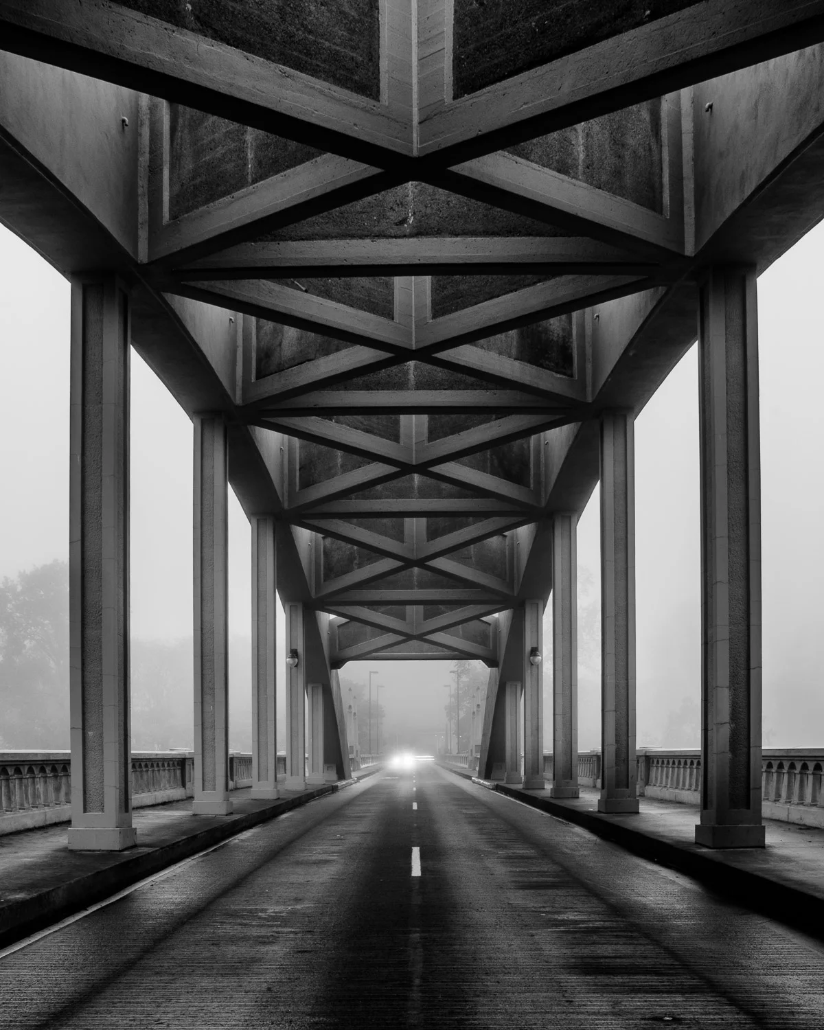 Shadow_Quality_2017_Oregon_City_Fall_Photowalks_10-22-16.jpg