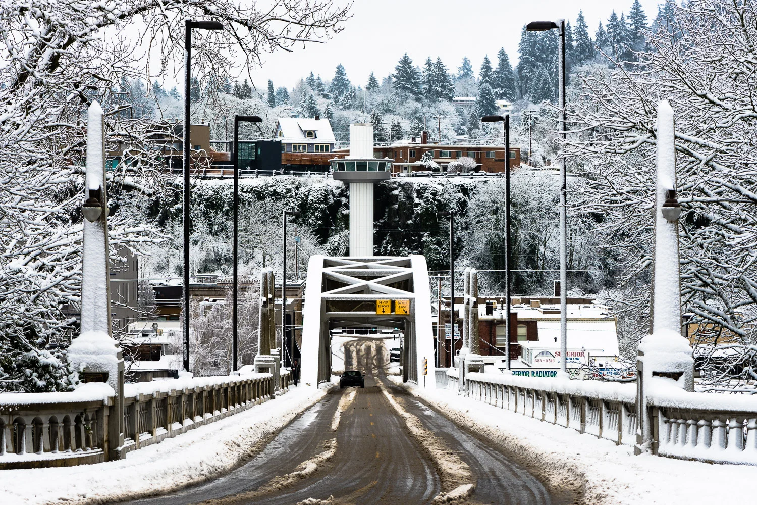 Shadow_Quality_2017_Oregon_City_Snow_Day_01-11-17_DSC_004324.jpg