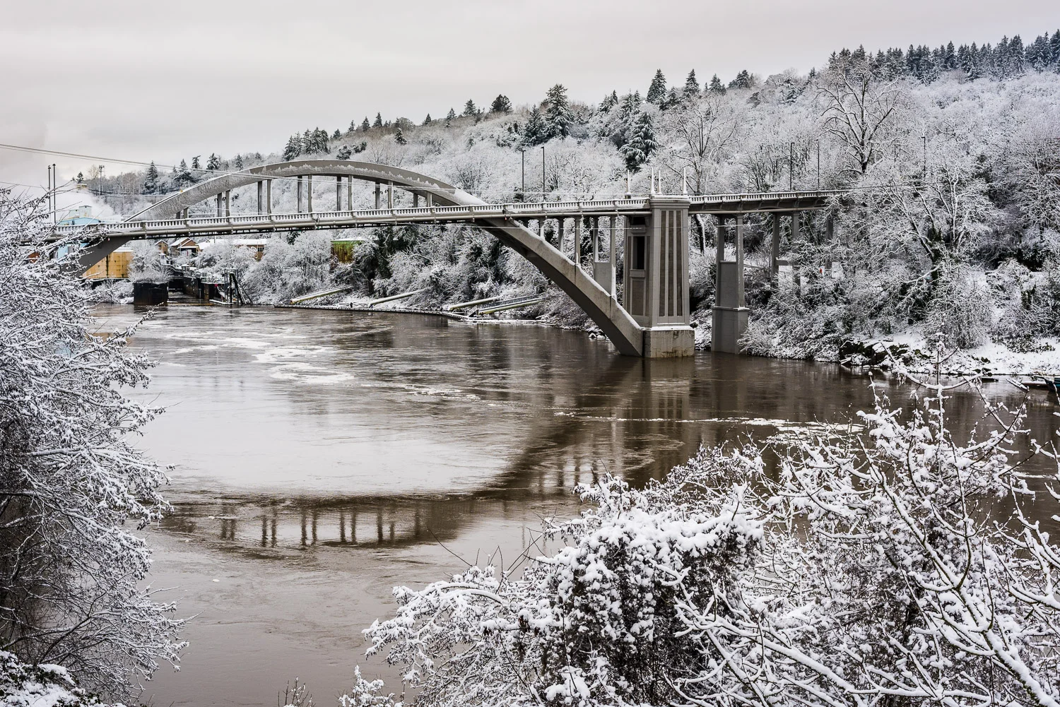 Shadow_Quality_2017_Oregon_City_Snow_Day_01-11-17_DSC_004717.jpg