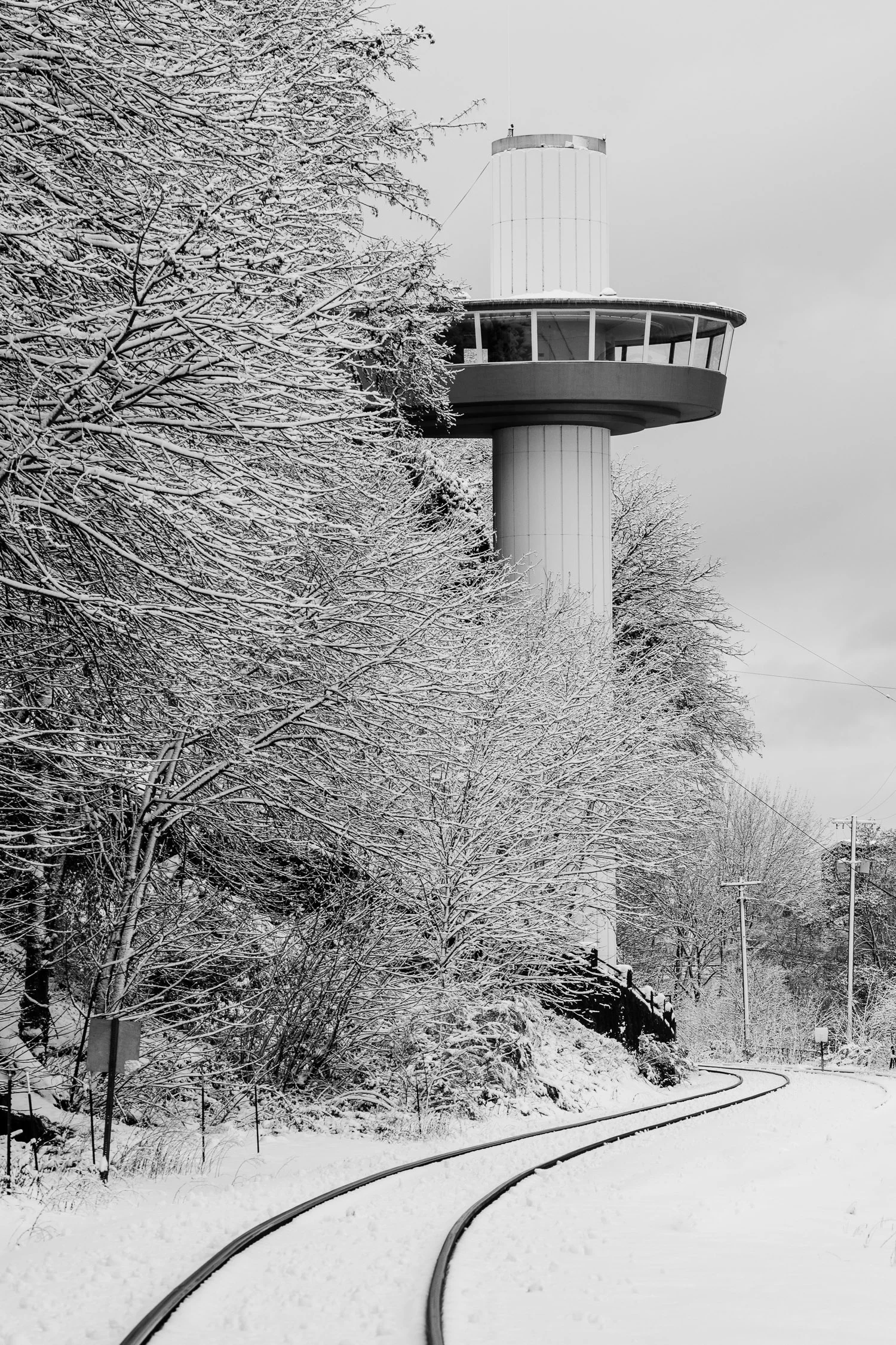 Shadow_Quality_2017_Oregon_City_Snow_Day_01-11-17_DSC_004696.jpg