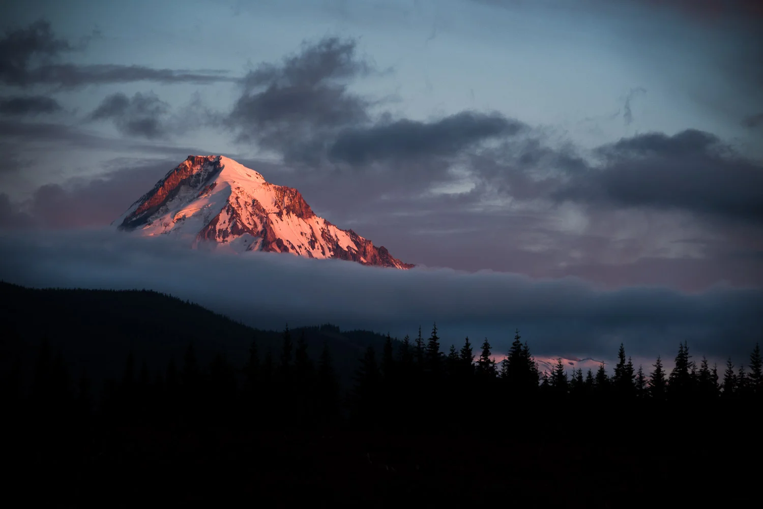 Shadow_Quality_2016_Lost_Lake_Campout_07-16-16_DSC_001801.jpg