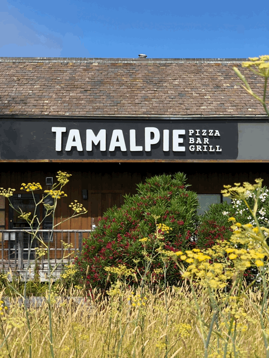 2020-08-05 05:03:40 +0000.gif