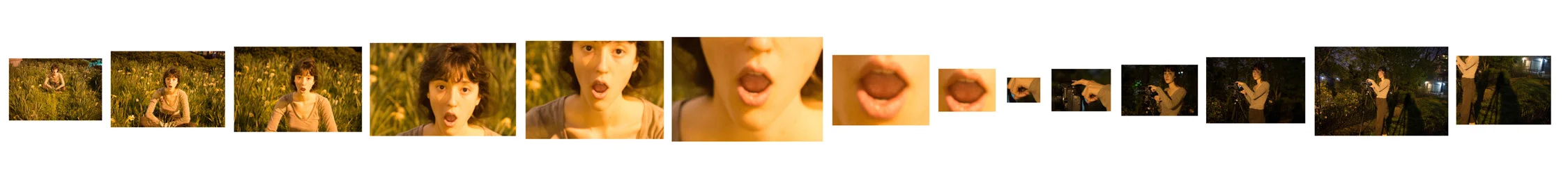 Contemporary Directions in Photography