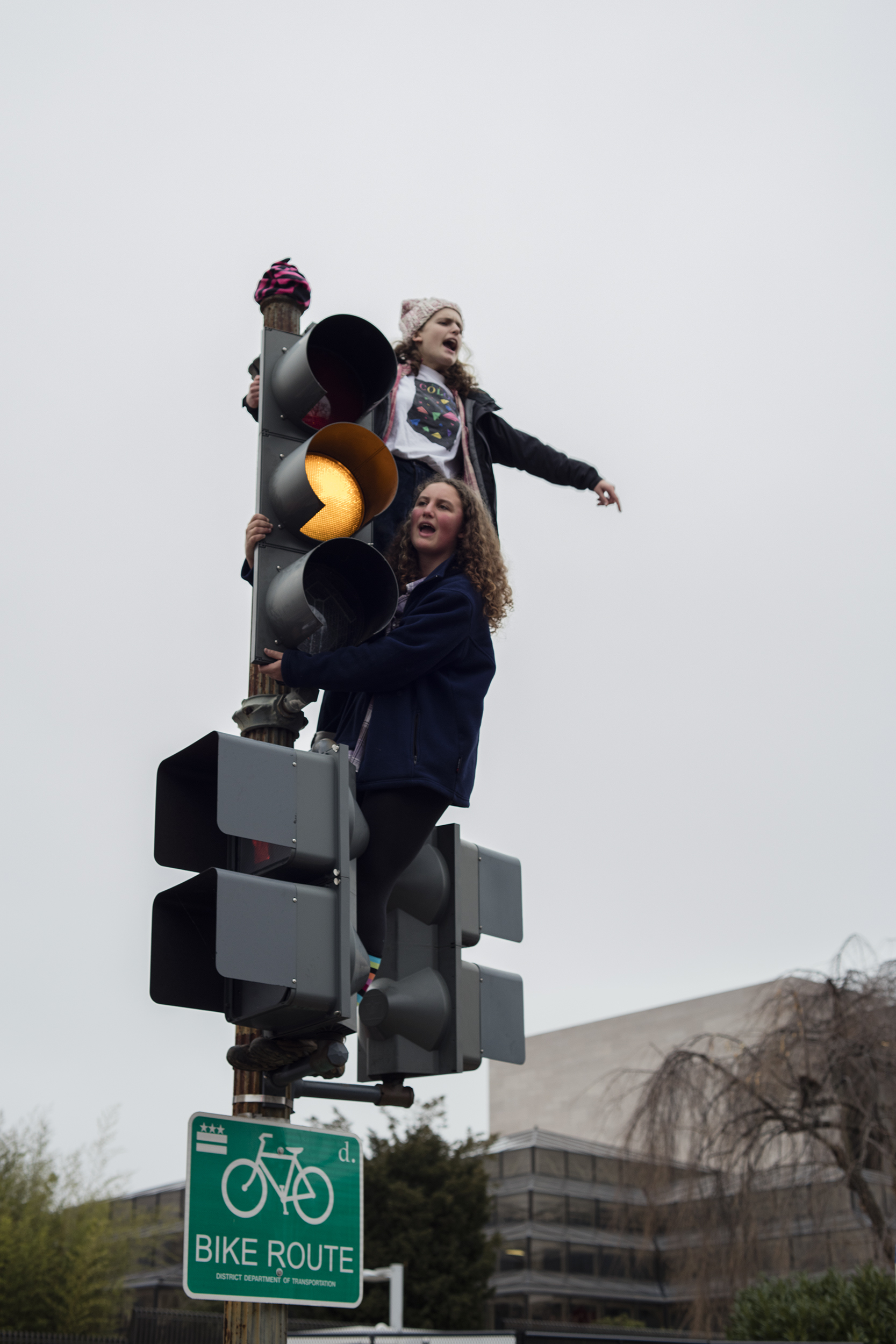 Women's March on Washington (Copy)