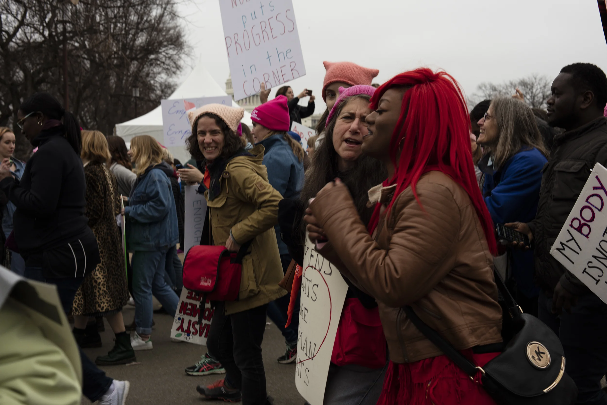 Women's March on Washington (Copy)