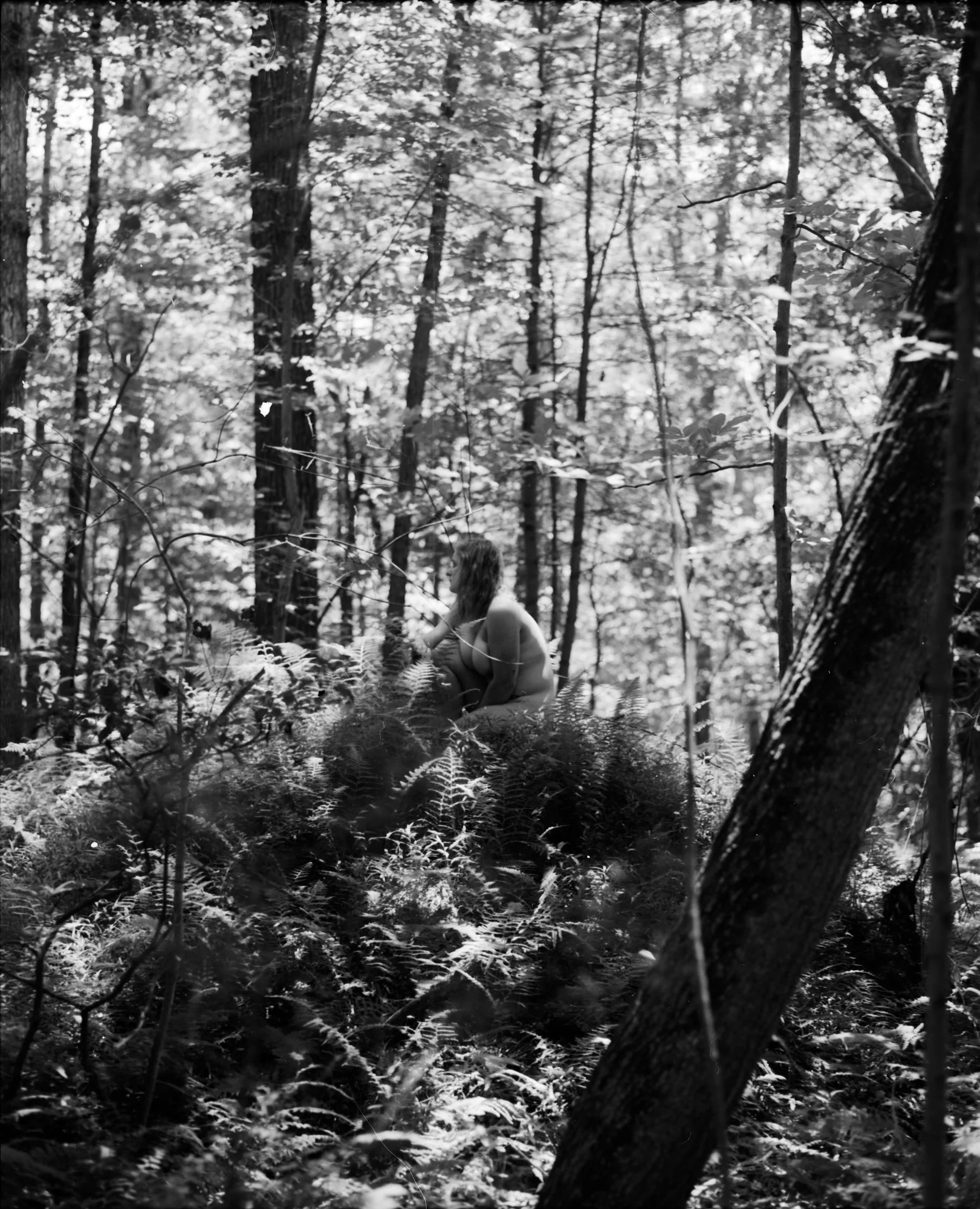PrettyBoy_3.jpg