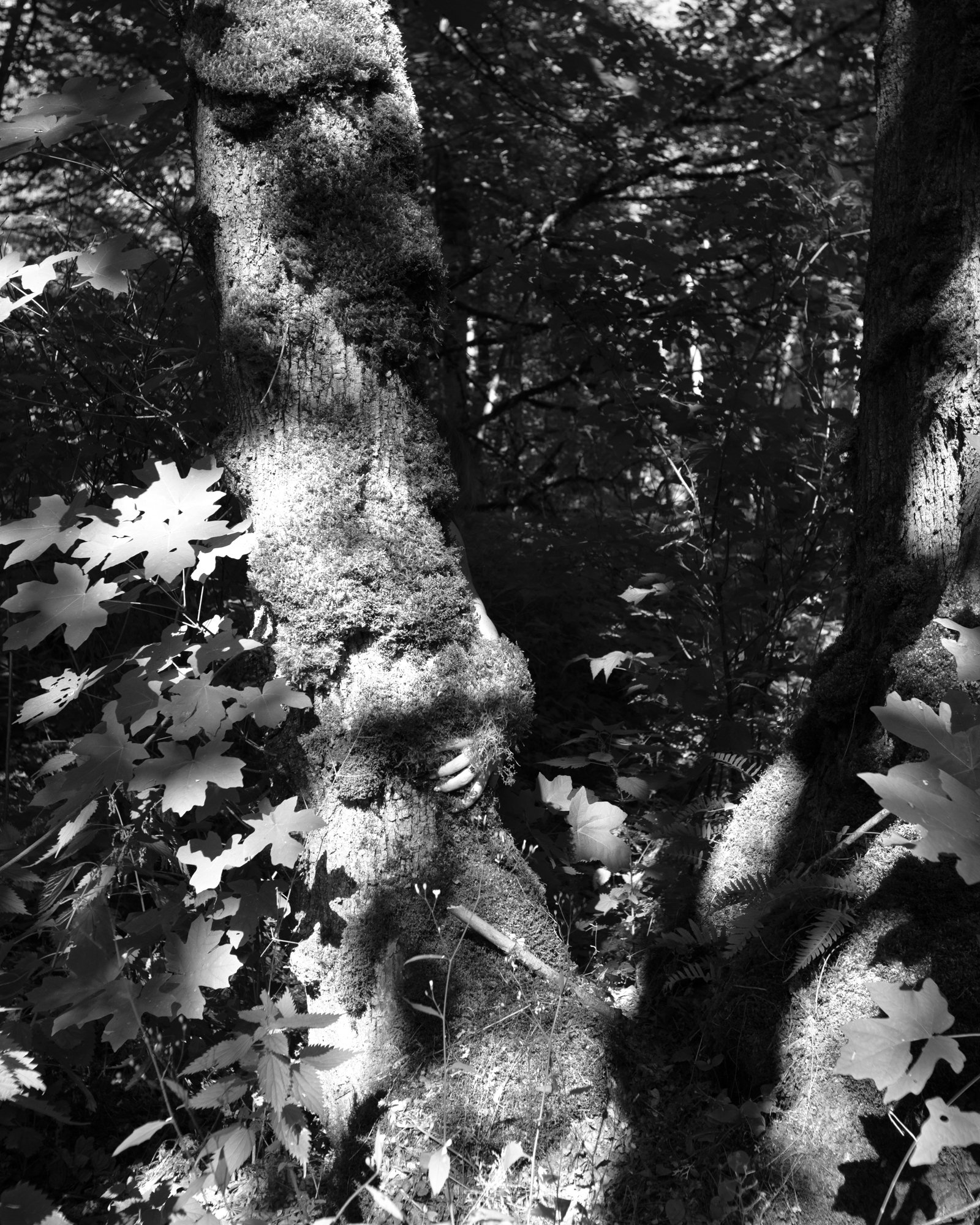 WA2023_BW_Hand.jpg