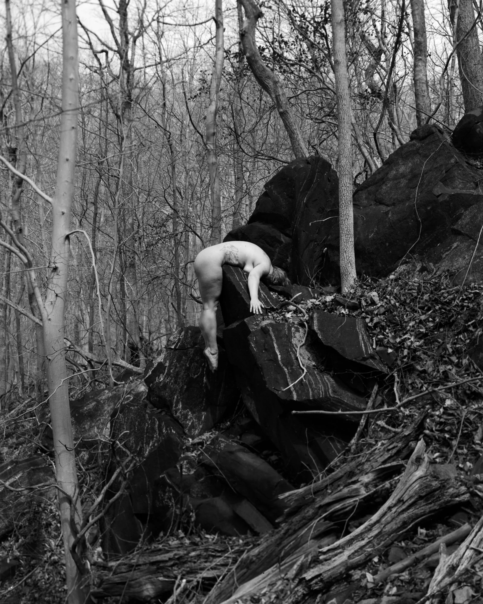 Patapsco_2.jpg