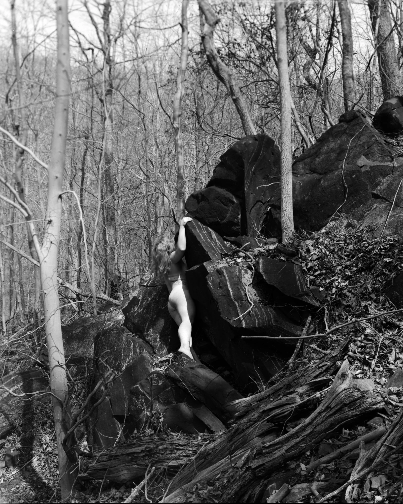Patapsco_1.jpg