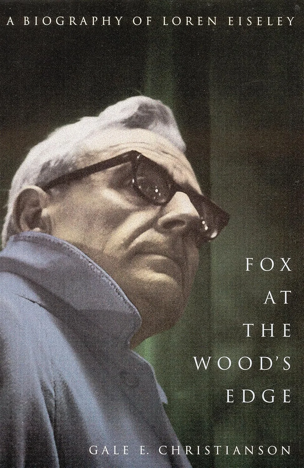 fox at the wood's edge.jpg