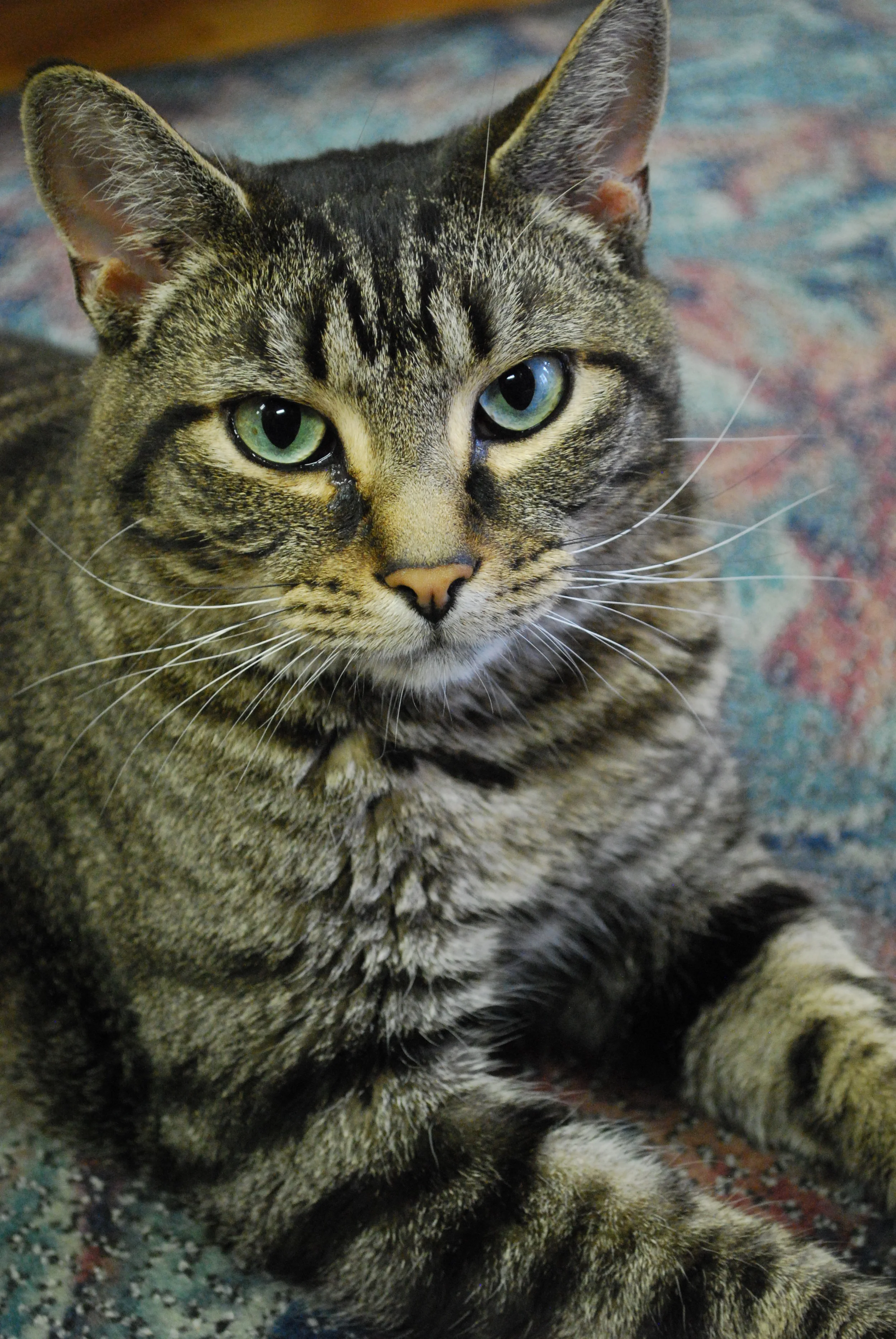DSC_0864.JPG