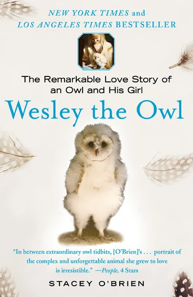 wesley the owl.jpg