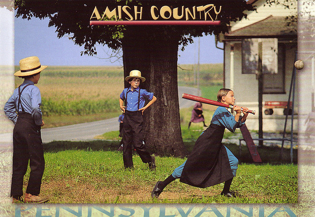 Injustice pond Bulk A History of the Amish — WHISTLESTOP BOOKSHOP