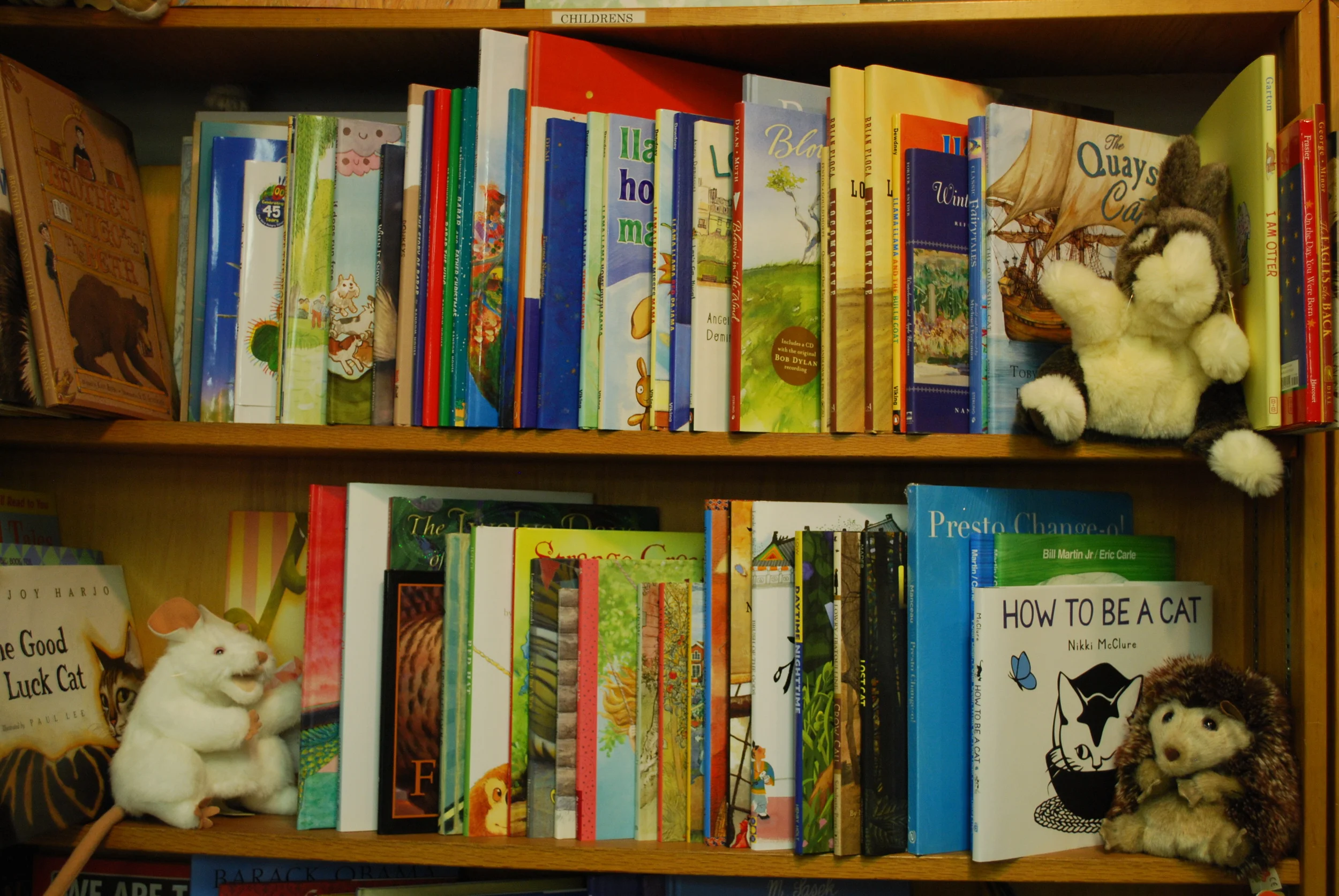 children's books and puppets