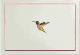 ibg.common.titledetail.gif