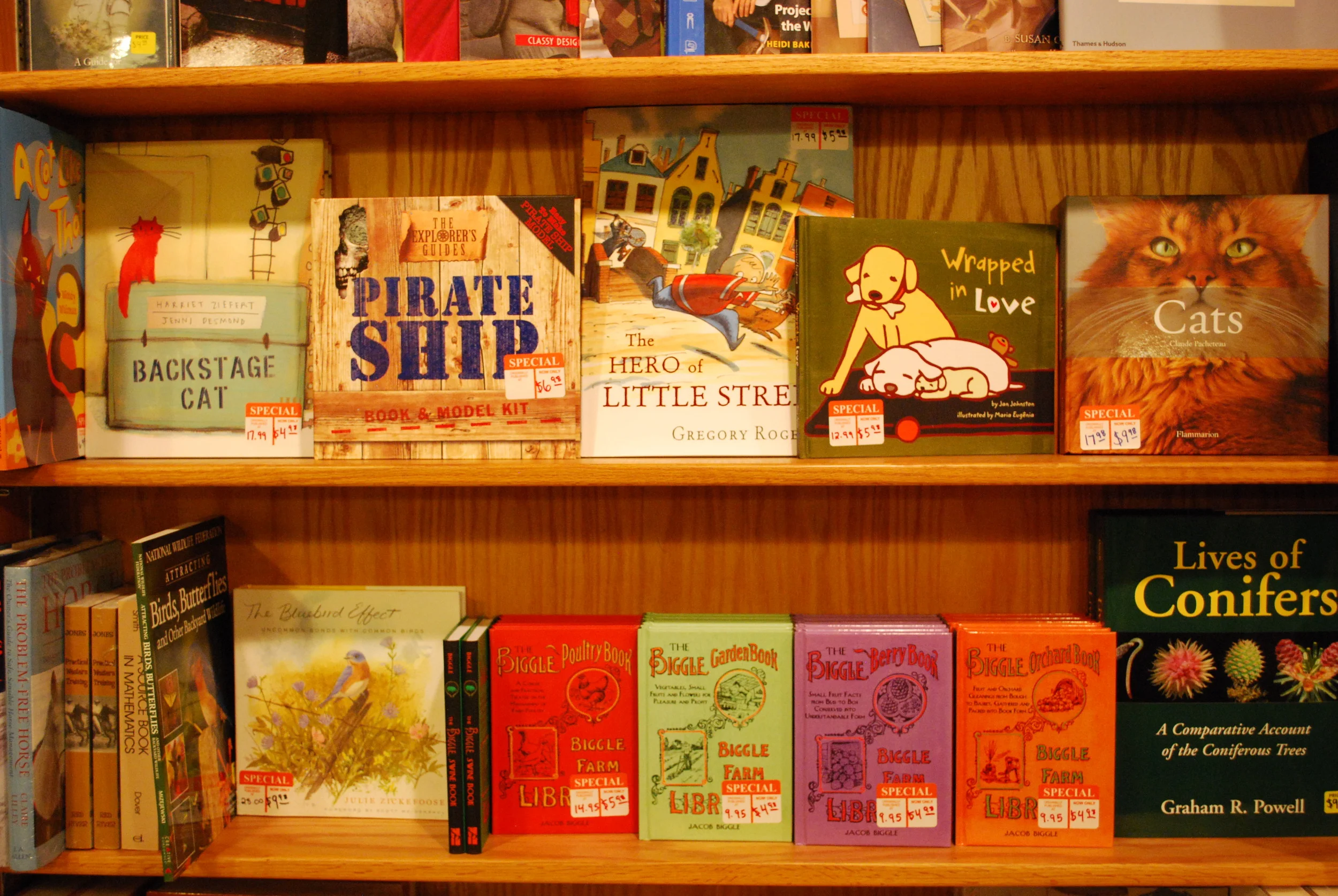 sale books