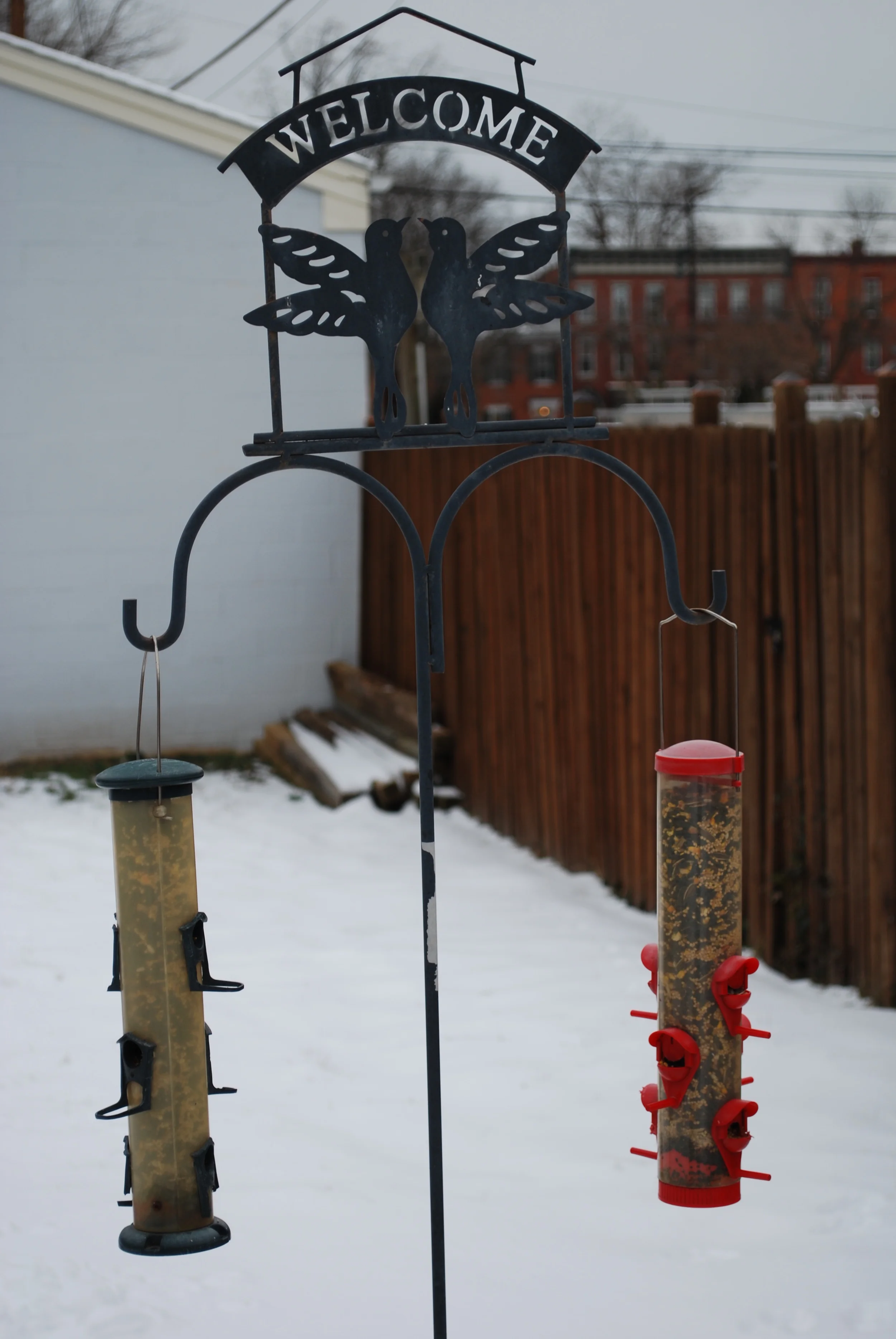 backyard birdfeeders