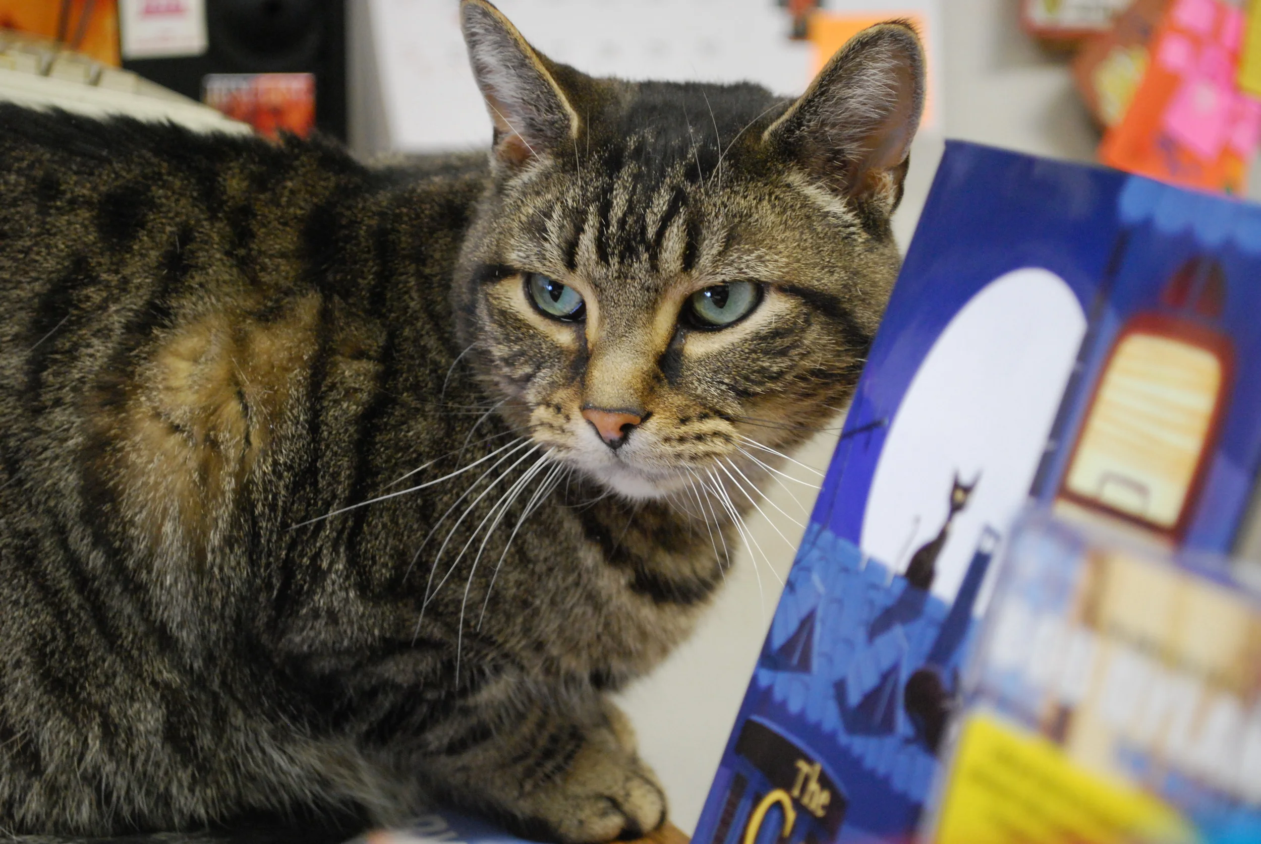 Mulan, head of security