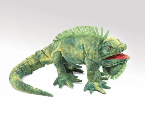 iguana.jpg
