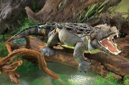 american alligator.jpg