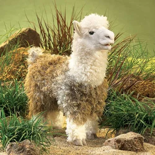 alpaca.jpg